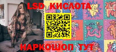 гашик Шелехов
