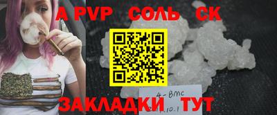 гашик Шелехов