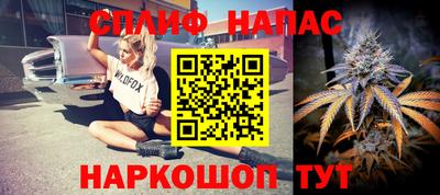 гашик Шелехов