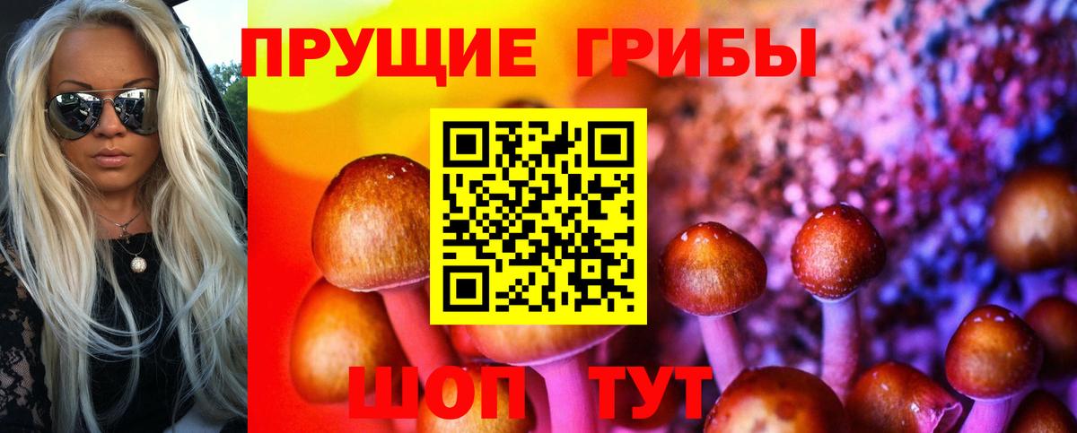 Москва  Псилоцибиновые грибы Cubensis  Вход с VPN 