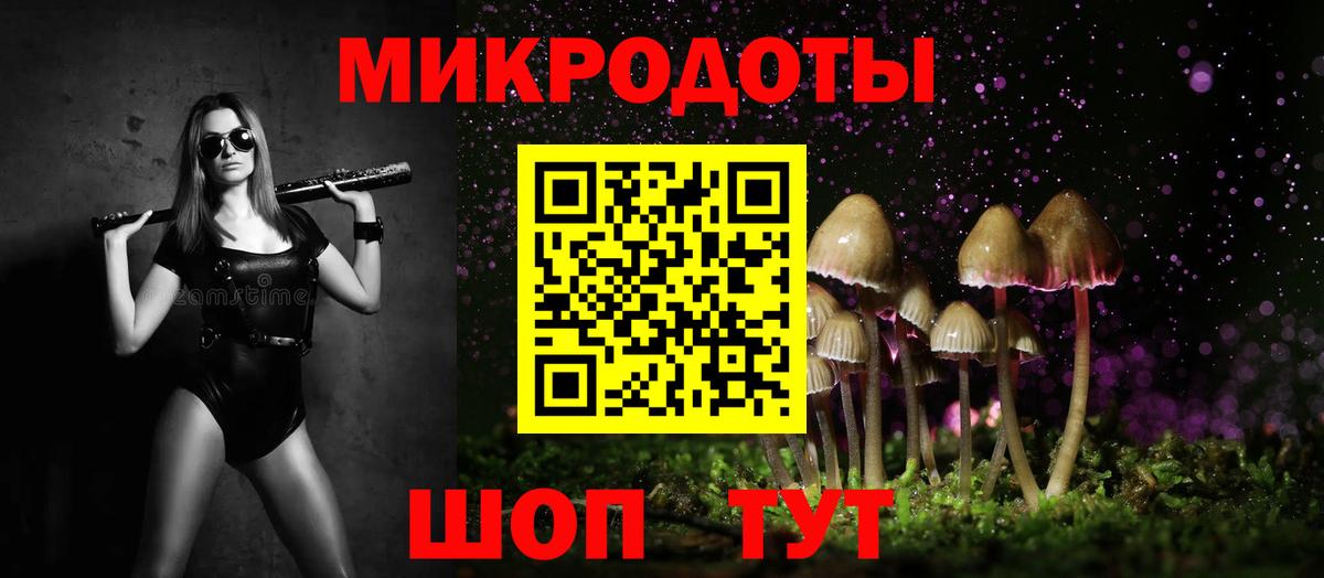 Галлюциногенные грибы Psilocybe Москва